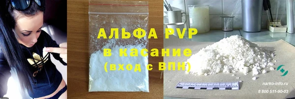 прущие грибы Балабаново