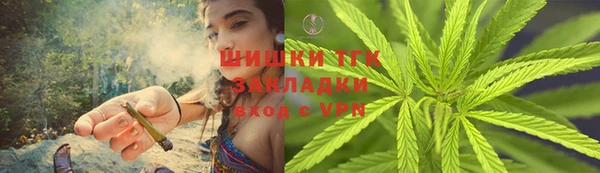 прущие грибы Балабаново