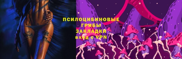 прущие крисы Балахна