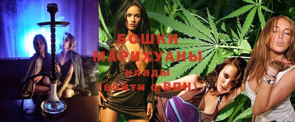 прущие грибы Балабаново