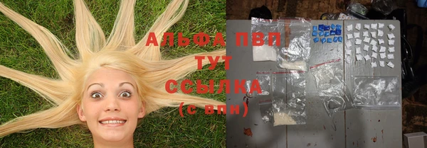 прущие грибы Балабаново