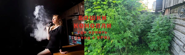 прущие крисы Балахна